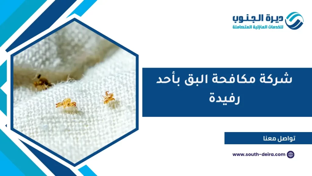 شركة مكافحة البق بأحد رفيدة